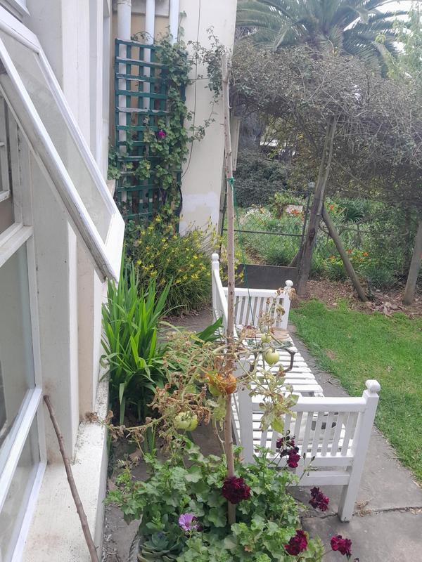 4 Bedroom Property for Sale in Caledon Western Cape